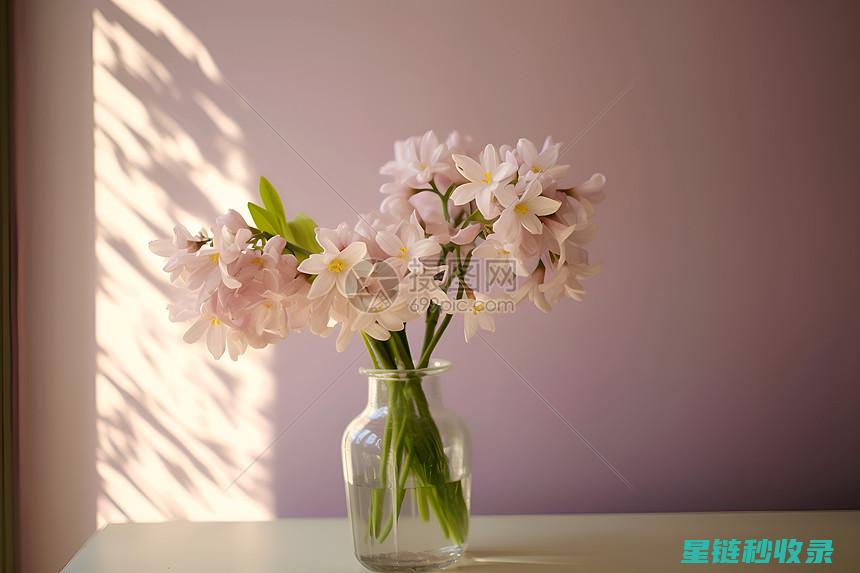 花瓶清洁后的护理要点，让其历久弥新 (花瓶清洗)